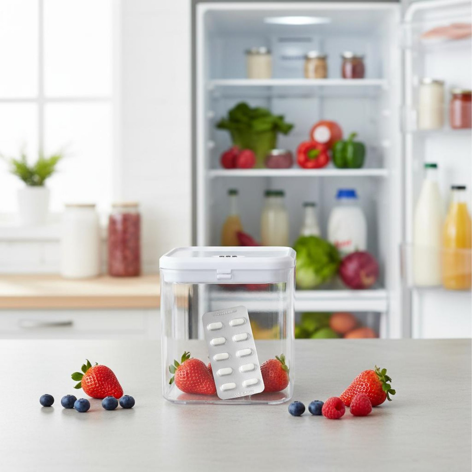 Прозрачный запираемый контейне – обзор и цена Food Storage Kitchen